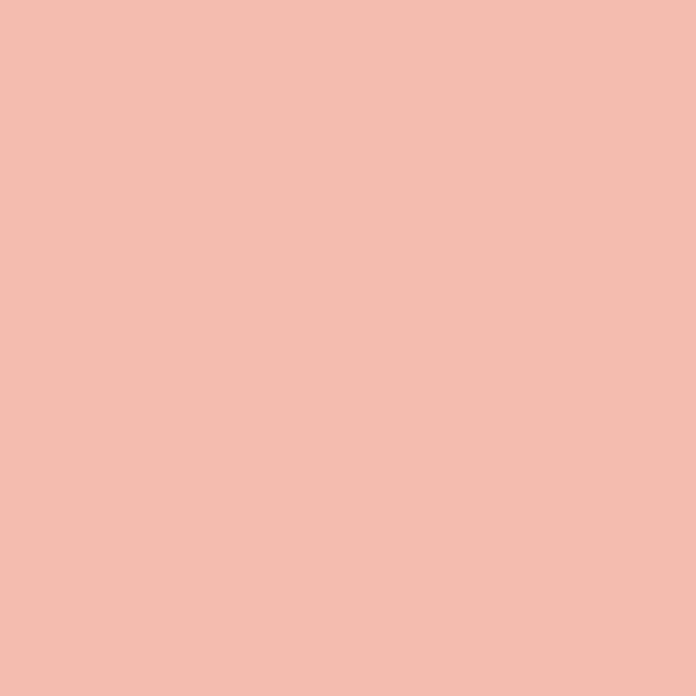 Paintbrush Studios in Rose