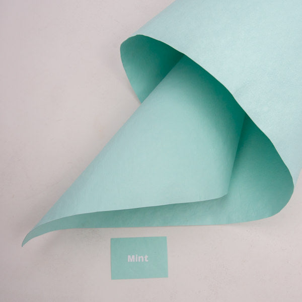 Lederpapier Mint (36 x 96)