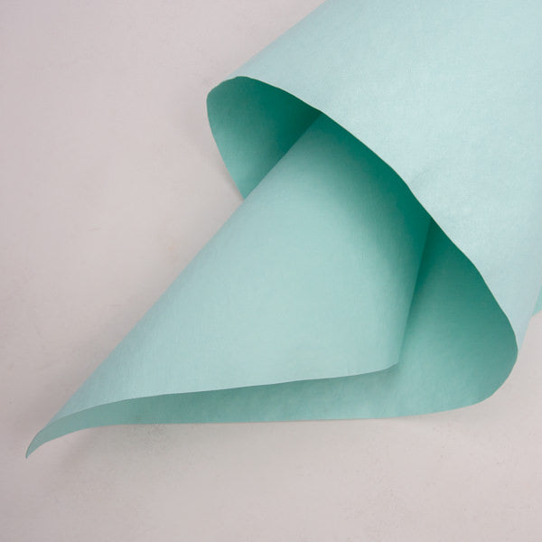 Lederpapier Mint (36 x 96)