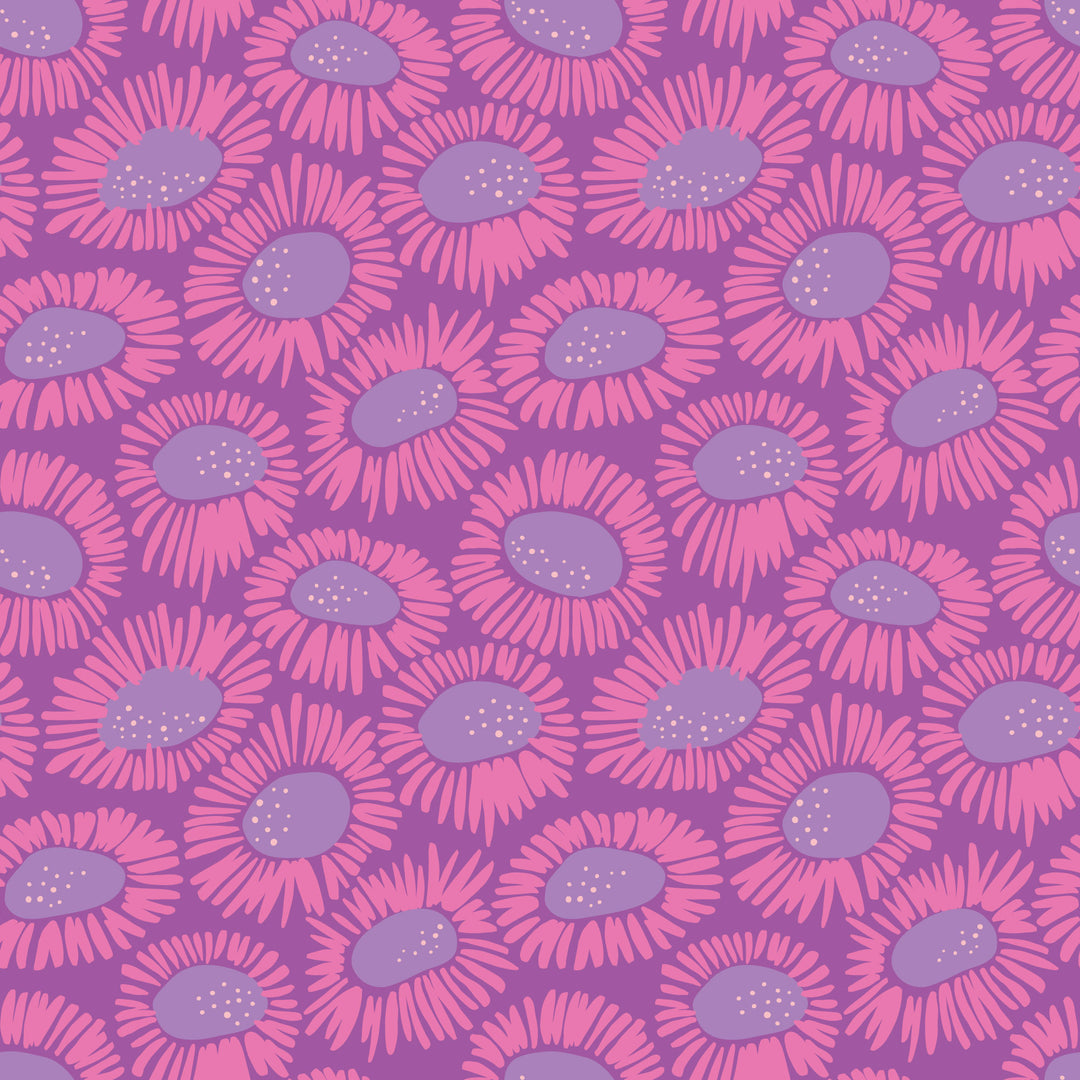 Cloud9 - Pip &amp; Lo - Wonder Jungle - Wild Daisies