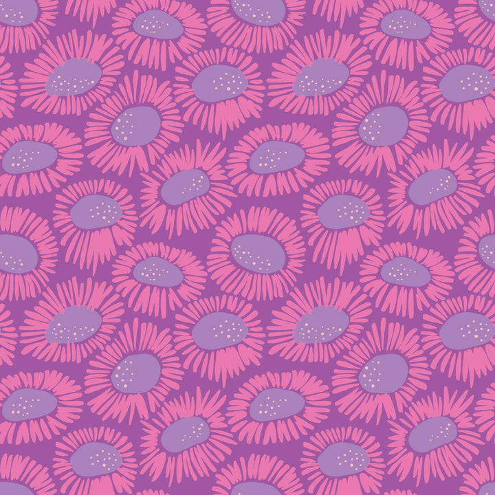 Cloud9 - Pip &amp; Lo - Wonder Jungle - Wild Daisies