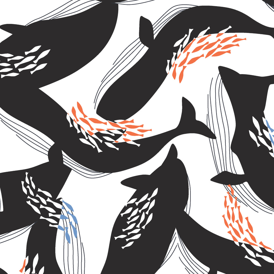 Cloud9 - Ophelia Pang - Canvas Collective - Happy Whales (Bio-Canvas)