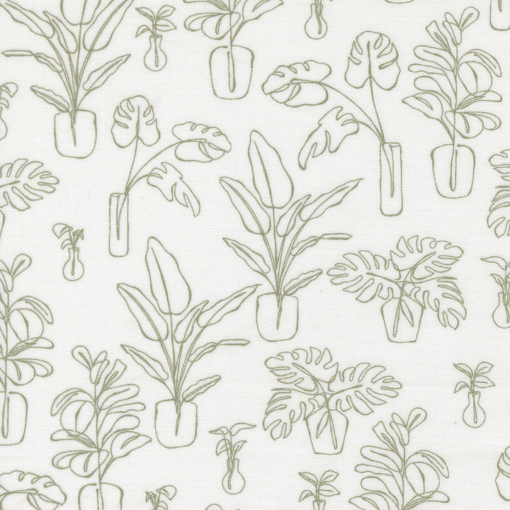 Moda Fabrics - Kiley&