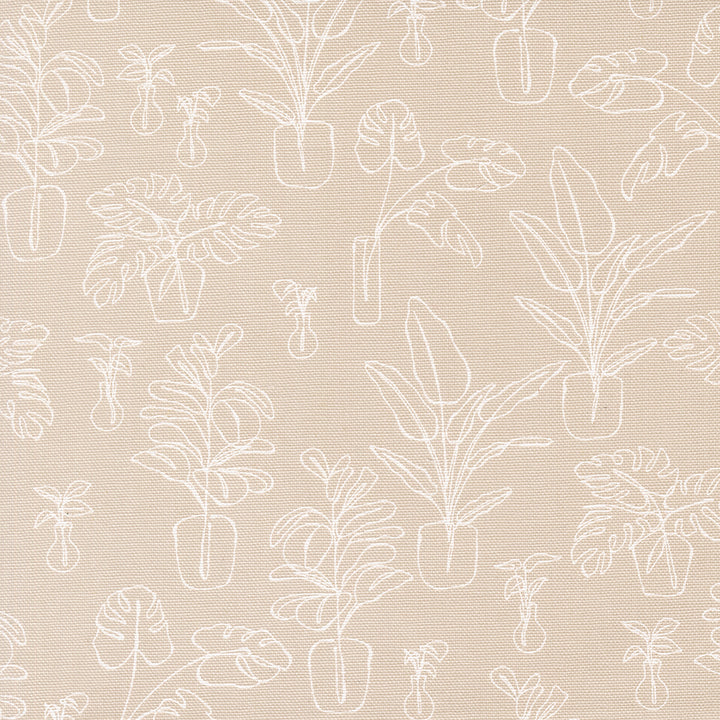 Moda Fabrics - Kiley&