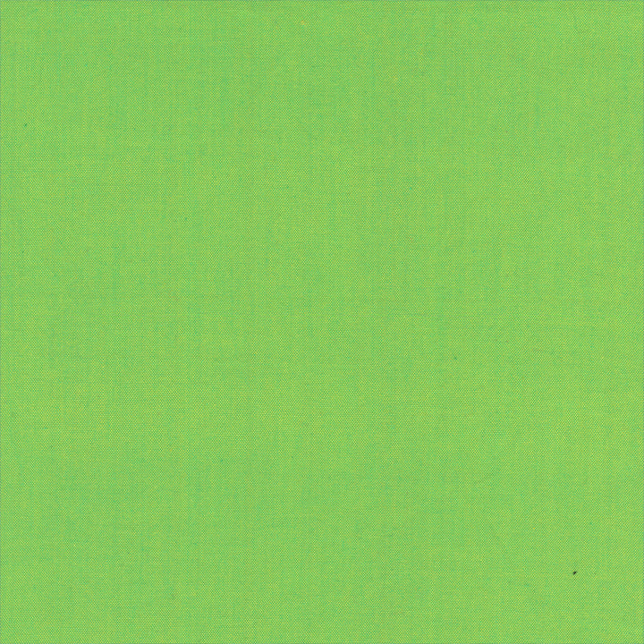 Windham - Artisan Cotton - Seafoam Green