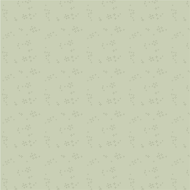 Windham Fabrics - Whistler Studios - Nature Study 2.0  - Mint