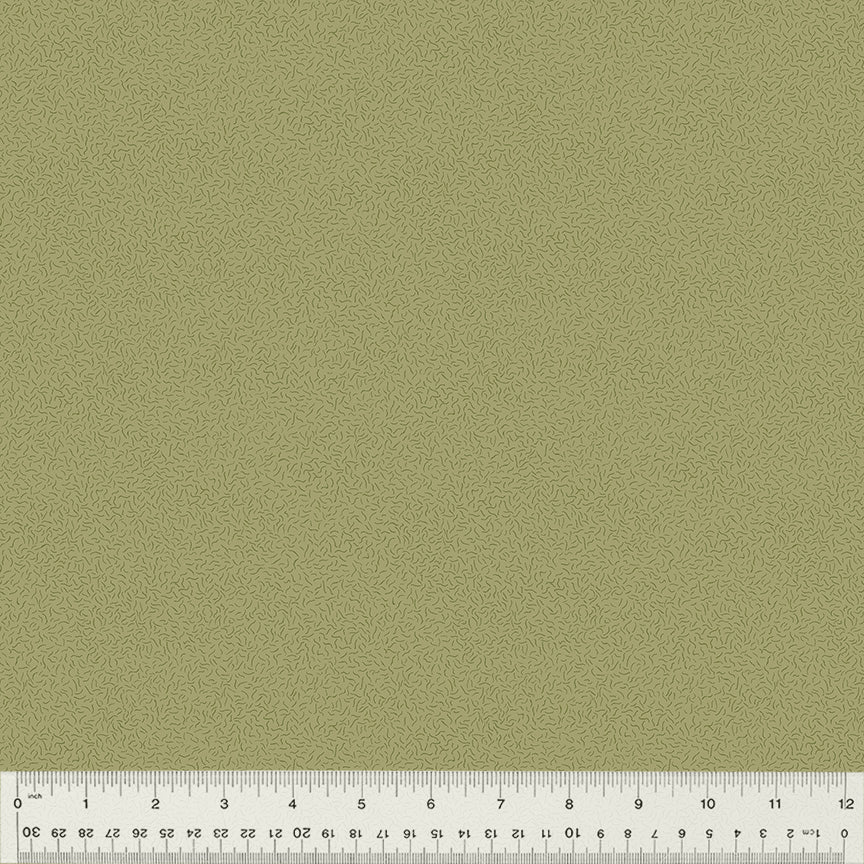 Windham Fabrics - Whistler Studios - Nature Study 2.0  - Green Tea