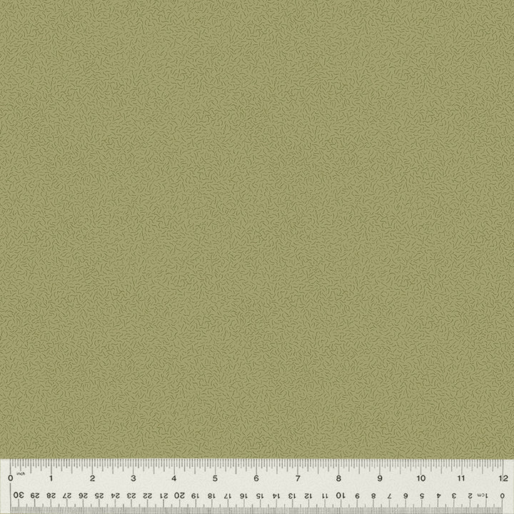 Windham Fabrics - Whistler Studios - Nature Study 2.0  - Green Tea