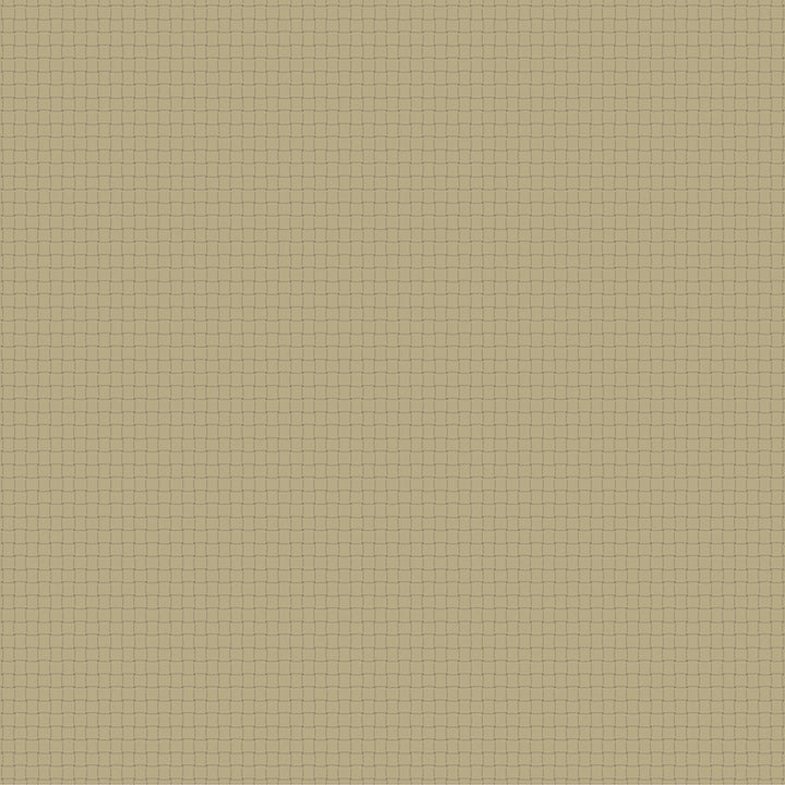 Windham Fabrics - Whistler Studios - Nature Study 2.0  - Bean