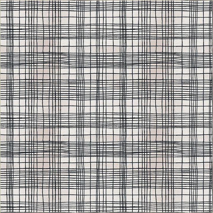 Windham - Marcia Derse - The Plaid One - String Theory Plaid in Cosmic Web