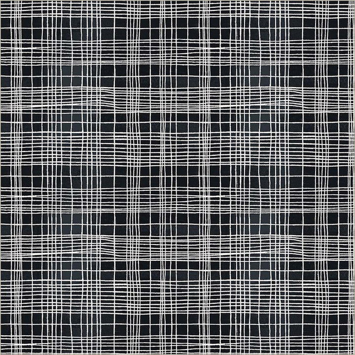 Windham - Marcia Derse - The Plaid One - String Theory Plaid in Space Tunnel