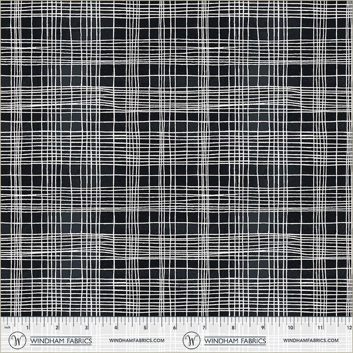 Windham - Marcia Derse - The Plaid One - String Theory Plaid in Space Tunnel