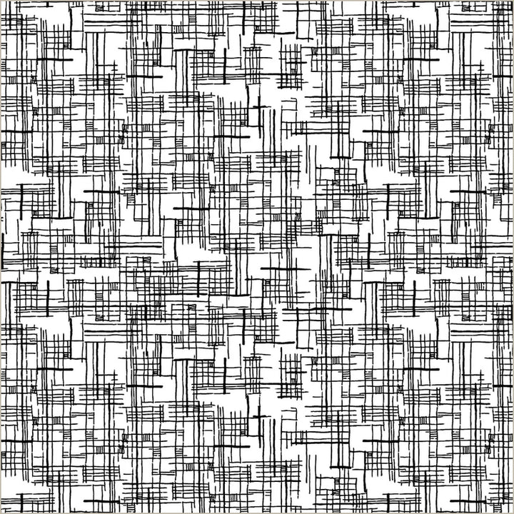 Windham Fabrics - Natalie Barnes - Winding Road - Map in White/Black