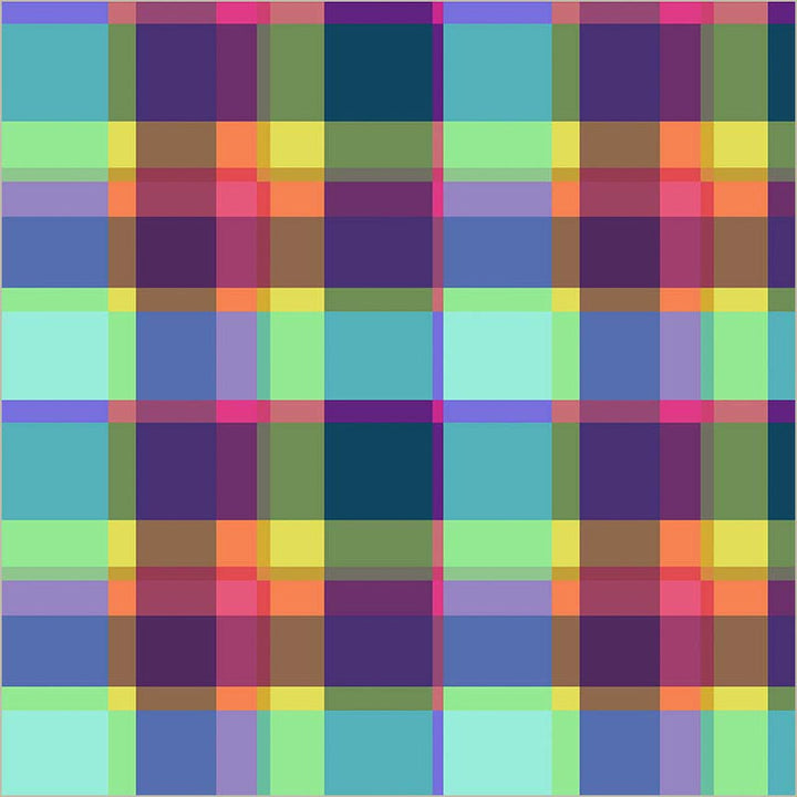 Windham Fabrics - Natalie Barnes - Winding Road - Summer Plaid in Multi (Canvas)