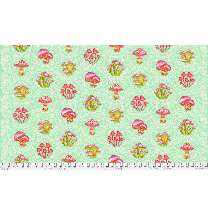Vorbestellung - FreeSpirit - Tula Pink - Down to Earth - Morel Support in Afterglow (Auslieferung März 2027)