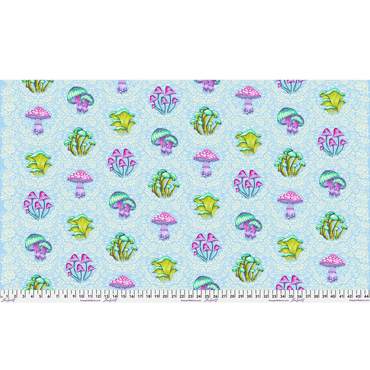 Vorbestellung - FreeSpirit - Tula Pink - Down to Earth - Morel Support in Daybreak (Auslieferung März 2027)
