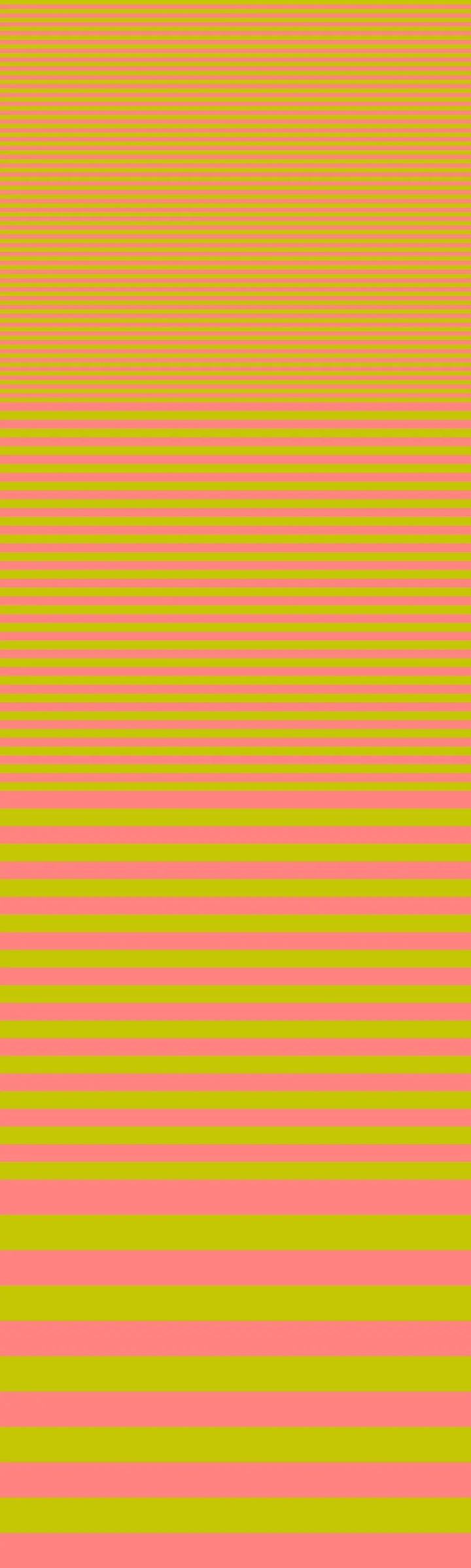 Vorbestellung - FreeSpirit - Tula Pink - Sticks and Stones - Sticks in Cantaloupe (Auslieferung März 2027)