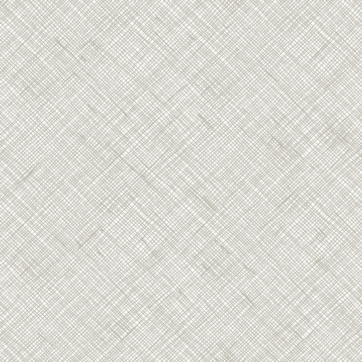 Ruby Star Society - Carolyn Friedlander - Memento - Crosshatch Canvas in Cotton