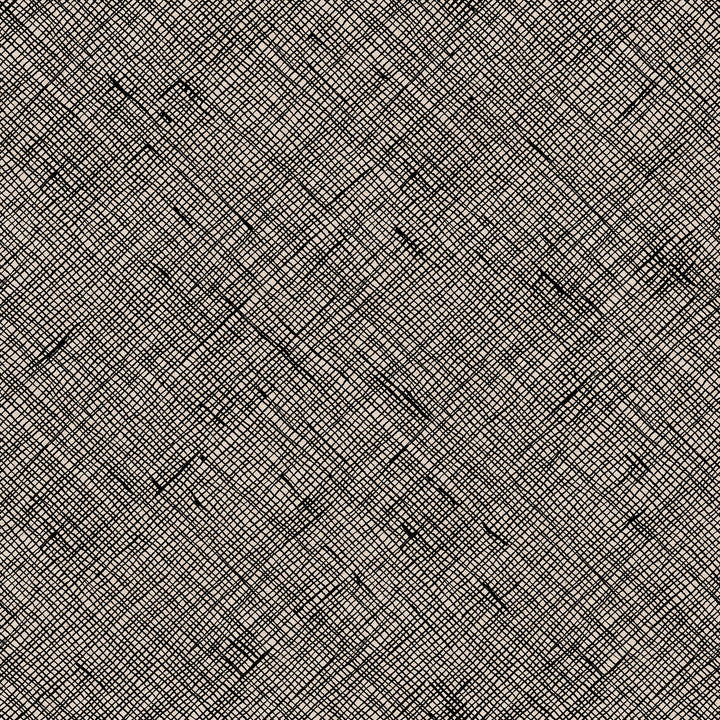 Ruby Star Society - Carolyn Friedlander - Memento - Crosshatch Canvas in Black
