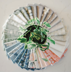 Moda Fabrics - Kiley&