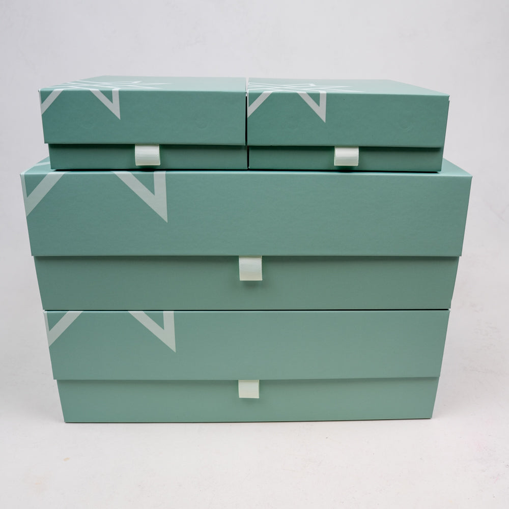 Box mit 24 Premium-Reißverschlüssen Farbe "Rainbow in Gunmetal"