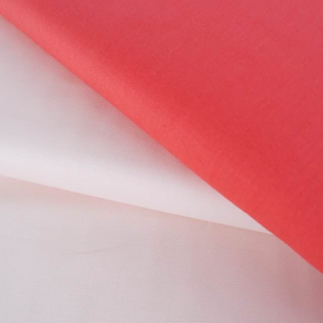 Paintbrush Studios in Shell Pink