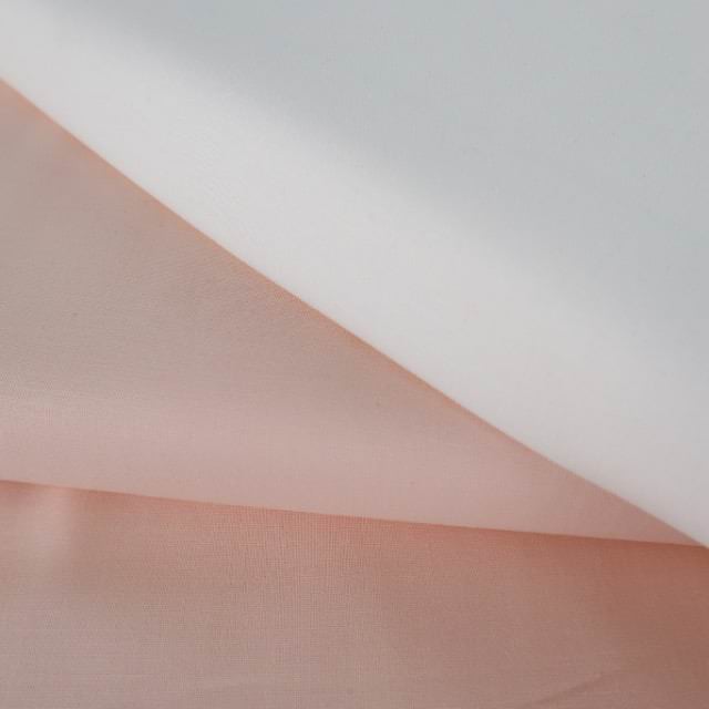 Paintbrush Studios in Shell Pink