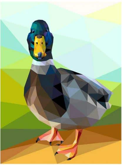 Patchwork-Schnittmuster - Legit Kits- "James Pond" (Foundation Paper Piecing)