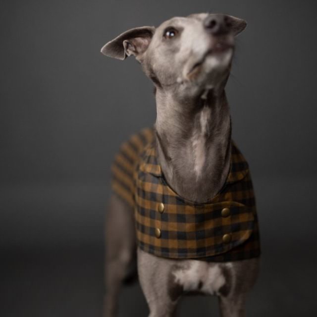 Schnittmuster Hundemantel "Barka" von Merchant &amp;amp; Mills