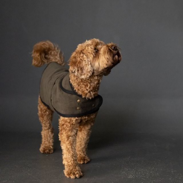 Schnittmuster Hundemantel "Barka" von Merchant &amp;amp; Mills