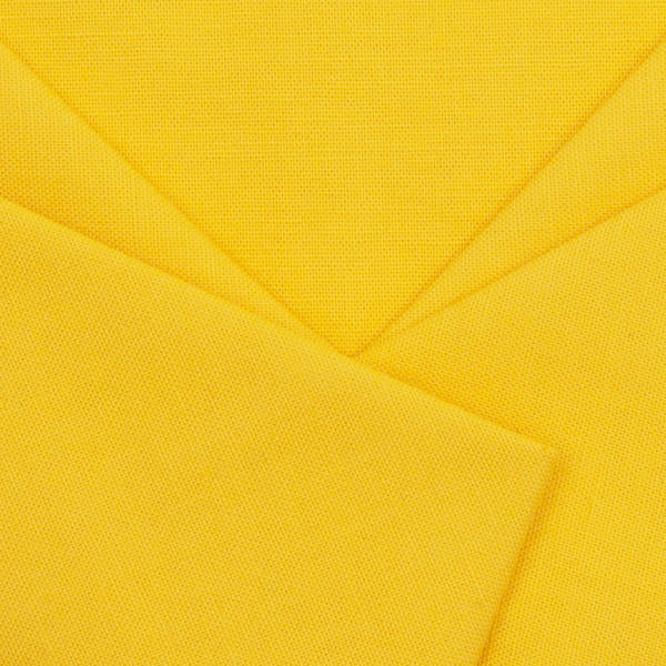 Paintbrush Studios in Bright Yellow