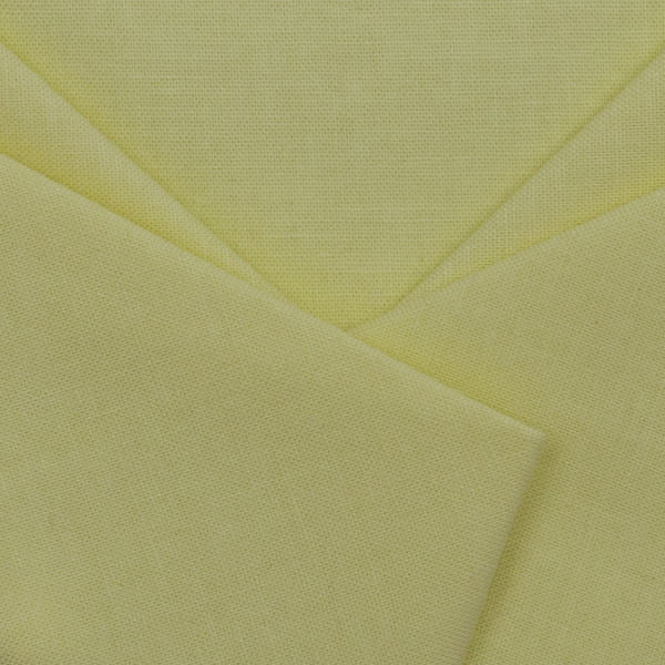 Paintbrush Studios in Citrus Yellow