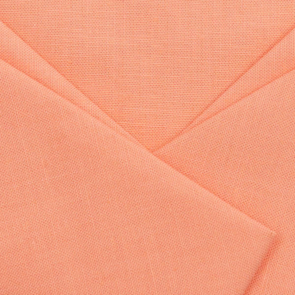 Paintbrush Studios in Salmon