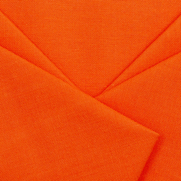 Paintbrush Studios in Carrot