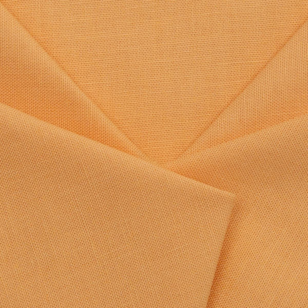 Paintbrush Studios in Butterscotch