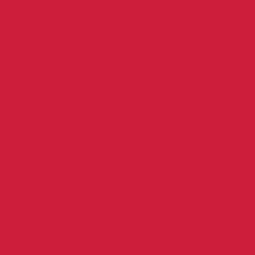 Schrägband Pure Solids in Undeniably Red 25 mm