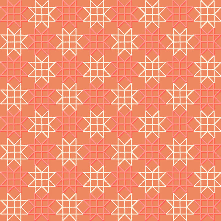 Ruby Star Society - Rashida Coleman Hale - Paper Cuts 2 - Paper Star in Canyon