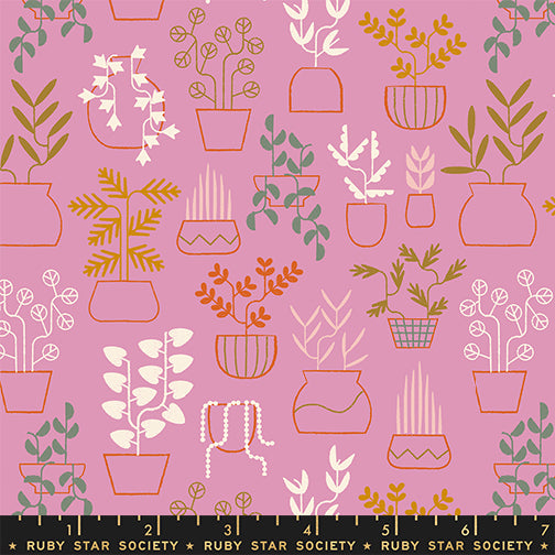 Ruby Star Society - Collaborative Collection - Calathea - Plant Life in Kiss