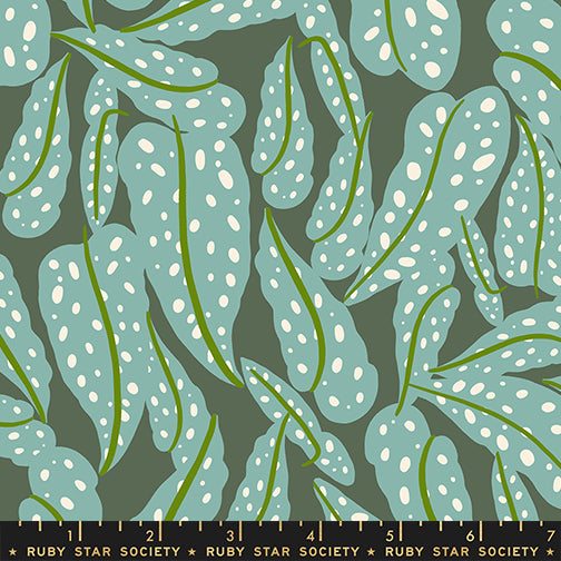 A Place for Everything - Komplett-Kit 2 - Reimagined Landscapes/Calathea