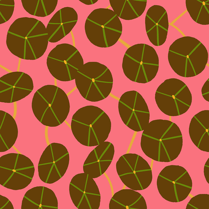 Ruby Star Society - Collaborative Collection - Calathea - Pilea in Strawberry