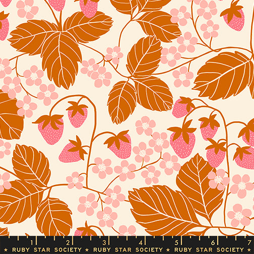 Ruby Star Society - Jen Hewett - Reimagined Landscapes - Strawberry Field in Bashful