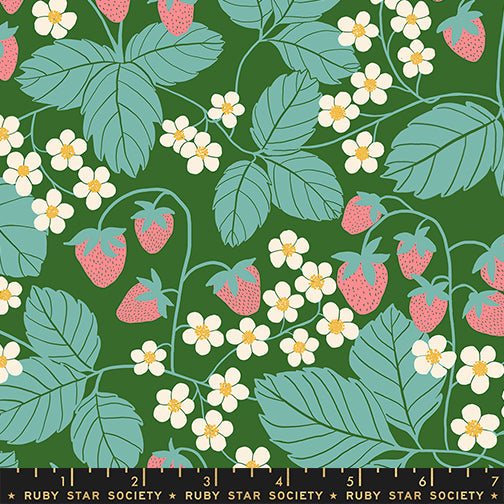 Ruby Star Society - Jen Hewett - Reimagined Landscapes - Strawberry Field in Endpaper Green
