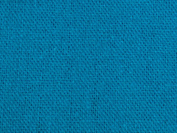 Echino Solid Canvas in Blau