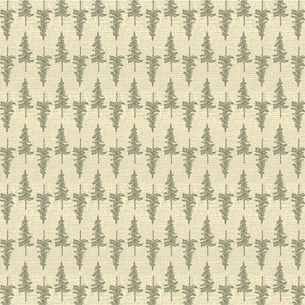 Windham Fabrics - Cassandra Zaniboni - Willow Bend  - Ponderosa in Ivory