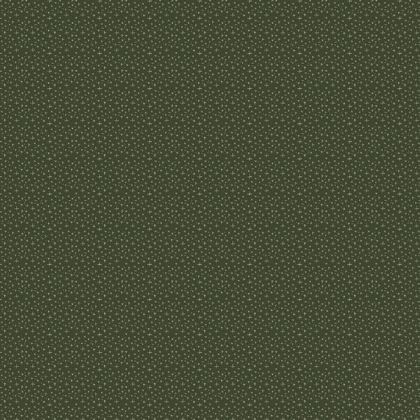 Windham Fabrics - Cassandra Zaniboni - Willow Bend  - Starburst in Midnight