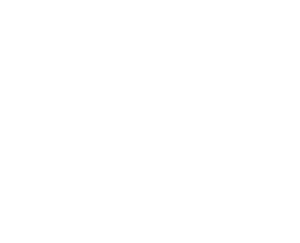 Kurvenlineal mit Minilineal von Clover